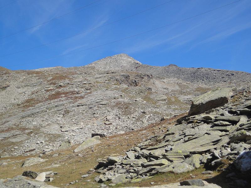 02 punta violetta dal basso.JPG